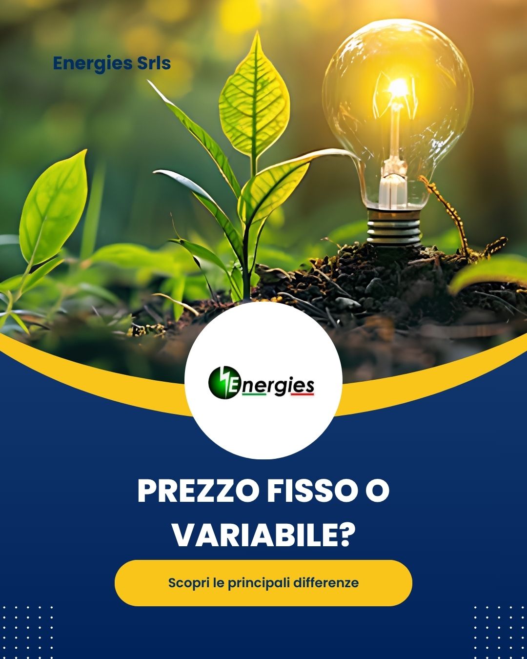 Prezzo fisso o variabile?